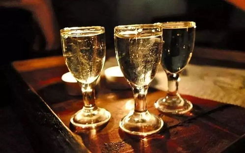 金樽黑酒 與講究者共飲，一場(chǎng)流動(dòng)的儀式